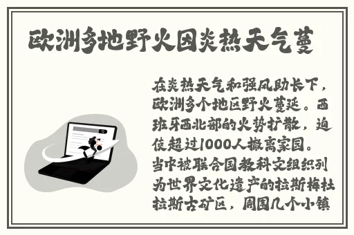 已满十八点此自动转2024